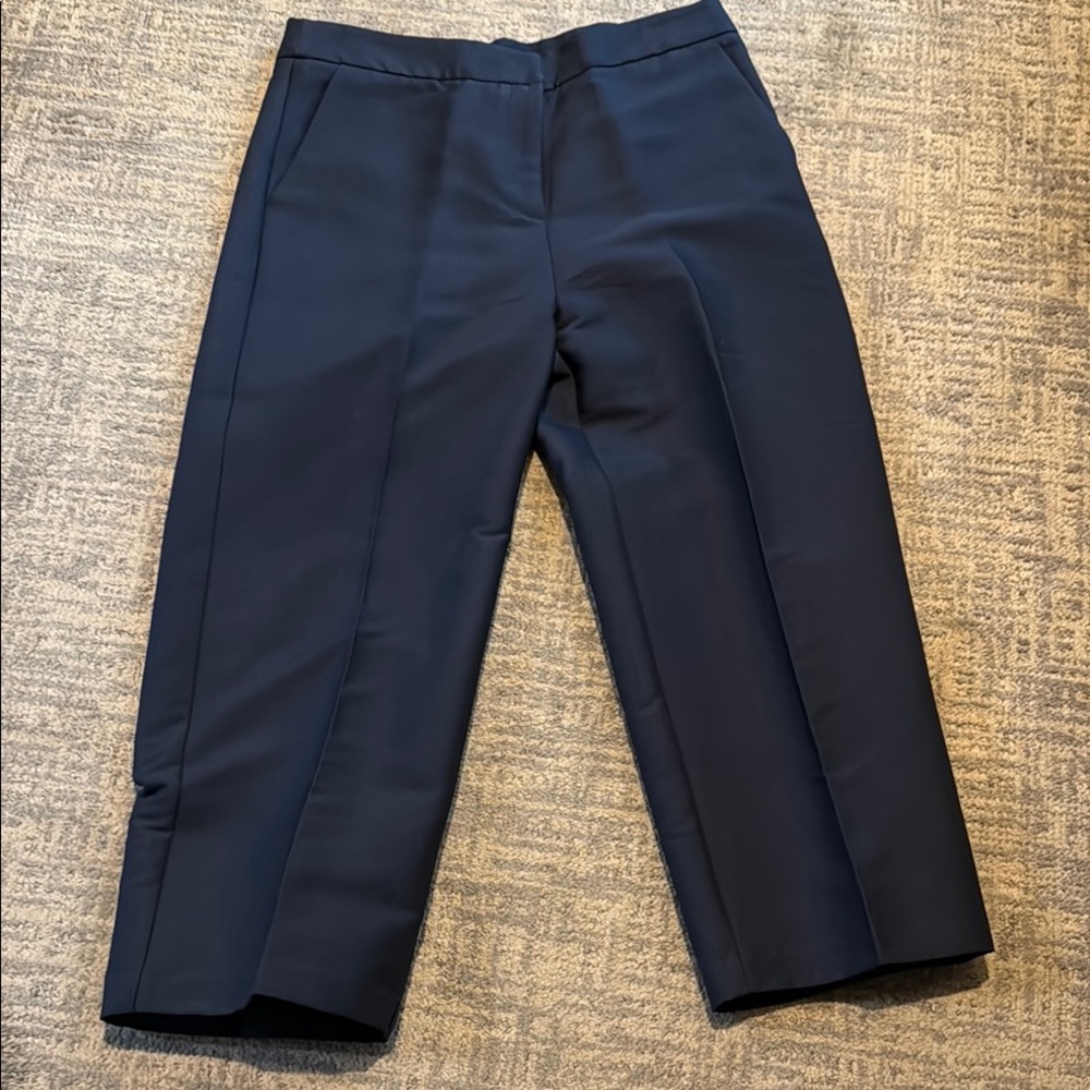 Blue Cropped Ankle Pants with Textured Fabric